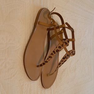 Size 9.5 Sophia Milano leopard thong sandals